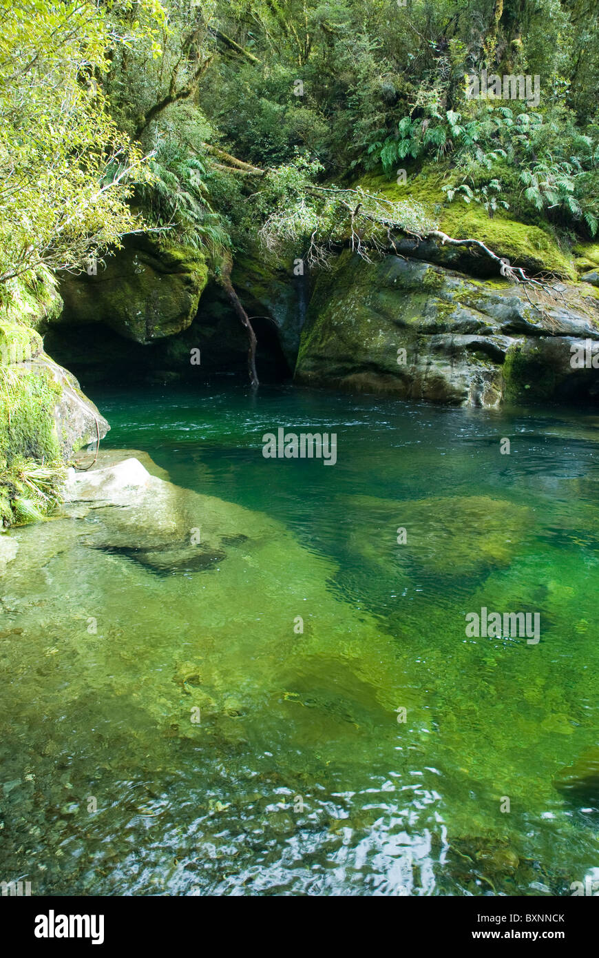 Regenwald und wasser Fotos und Bildmaterial in hoher Auflösung Alamy