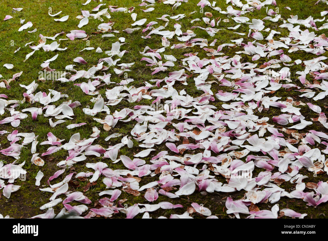Fallen Stockfotos & Fallen Bilder - Alamy