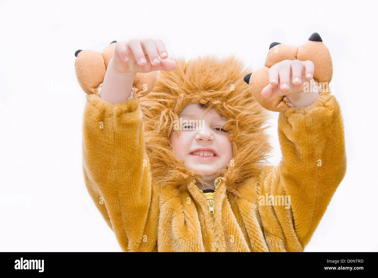 Fancy Lion Head Stockfotos & Fancy Lion Head Bilder - Alamy