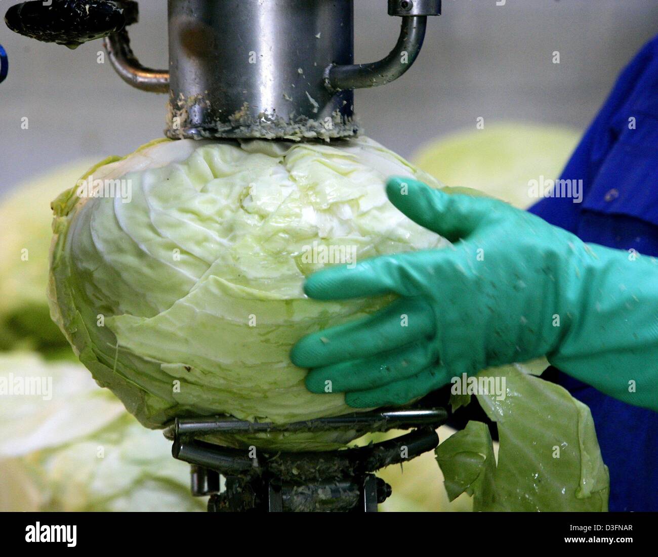 Sauerkraut Factory Stockfotos & Sauerkraut Factory Bilder Alamy