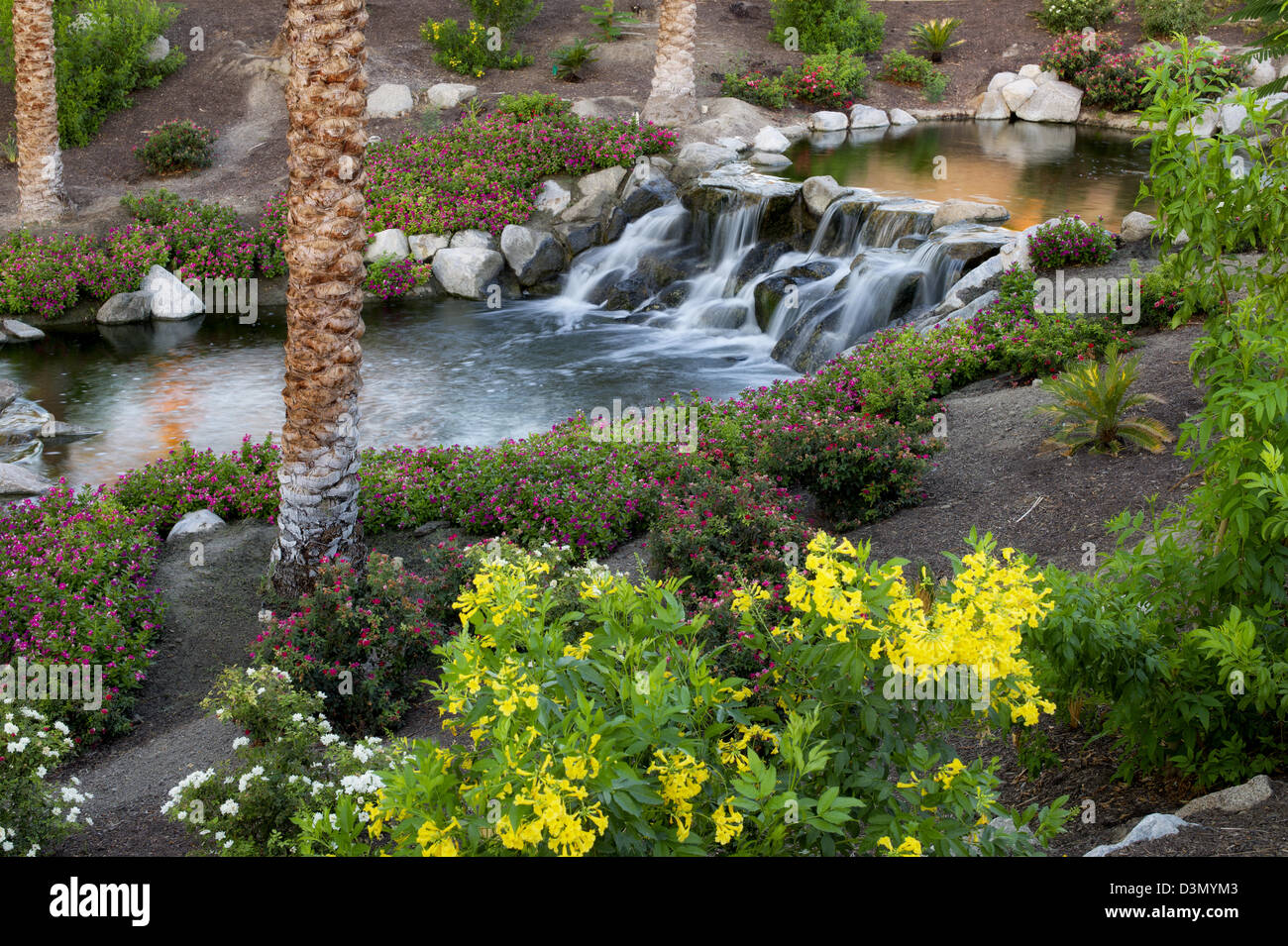 wasserfalle im garten, wasserfälle im garten. palm desert, kalifornien stockfoto, bild, Design ideen