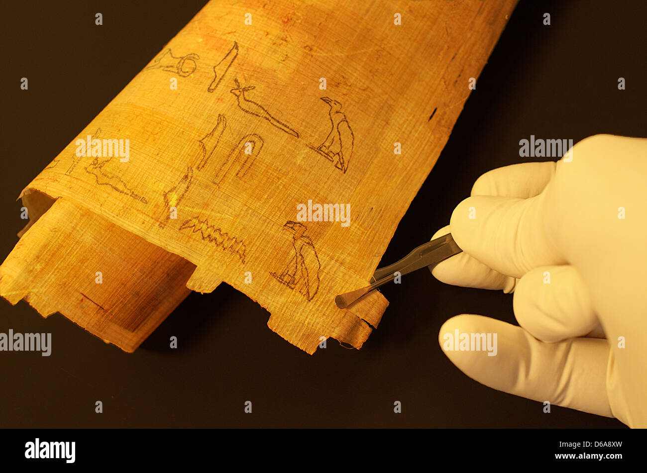 Gyptische Hieroglyphen Auf Papyrus Stockfotografie Alamy