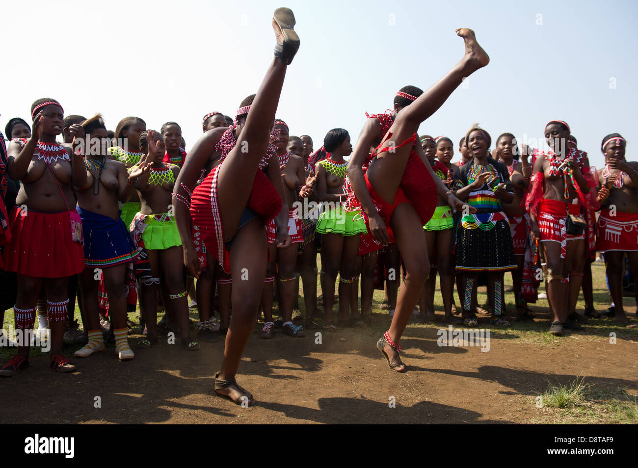 Zulu Maidens Zulu Reed Dance Stockfotos And Zulu Maidens Zulu Reed Dance Bilder Alamy