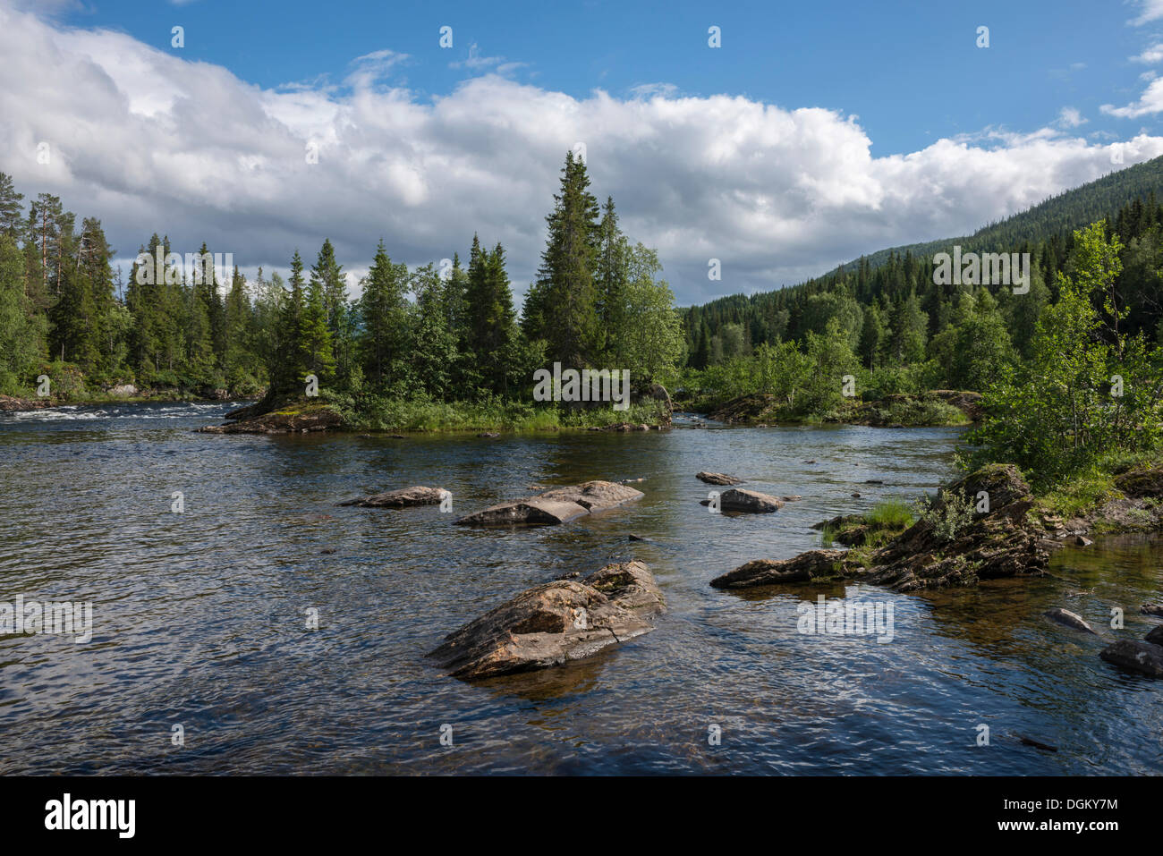 Landschaft mit dem Lachs Fluss Namsen, Namsskogan, Tal Namdalen, Nord