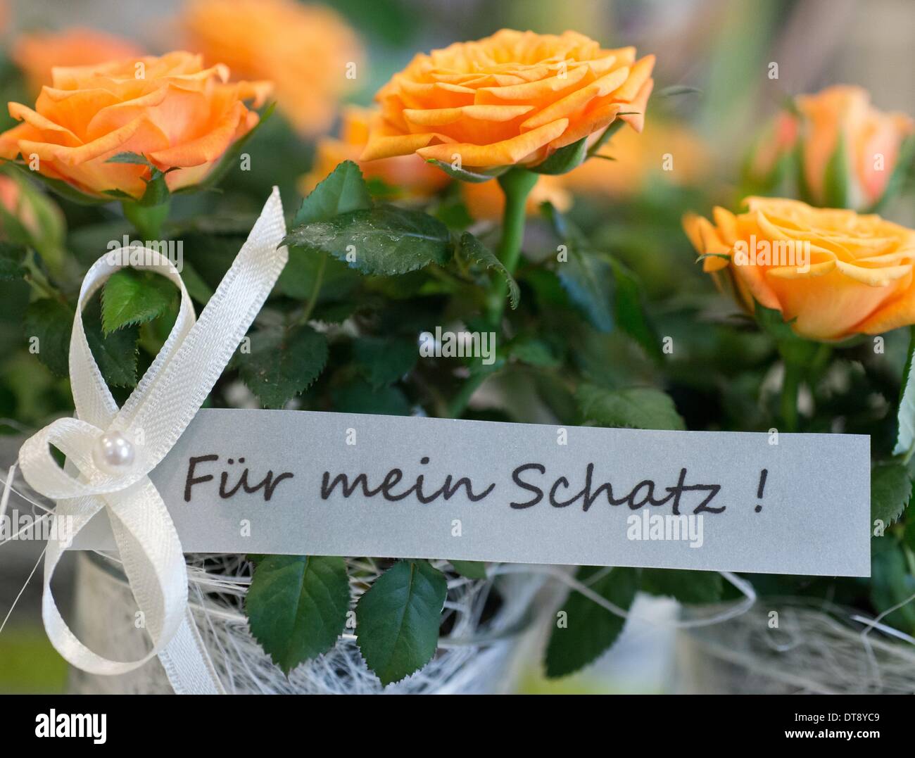 Geburtstagswünsche Für Meinen Schatz