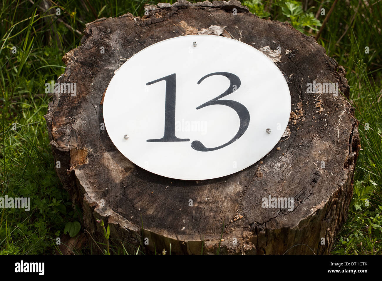 Glückszahl 13 Stockfoto, Bild 66769267 Alamy