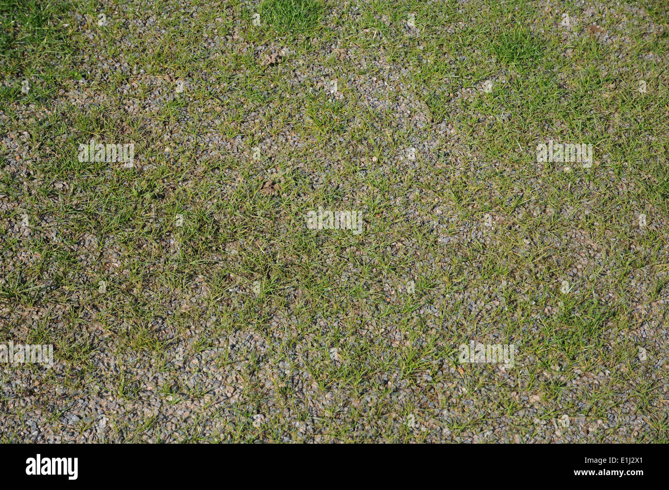 Schotter-Rasen Stockfoto, Bild: 69853561 - Alamy