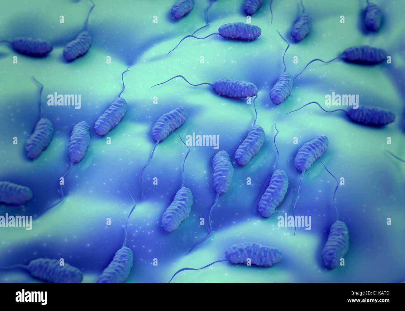 Epidemiology, Genetics, and Ecology of Toxigenic Vibrio