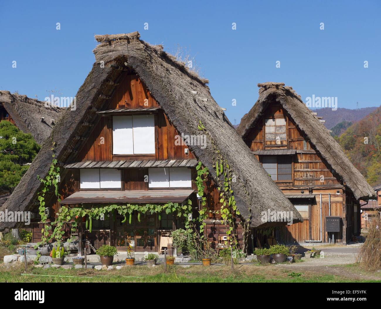 Strohgedeckten Häuser in Shirakawago in Japan Stockfoto, Bild ... Strohgedeckten Häuser in Shirakawago in Japan Stockfoto, Bild ...