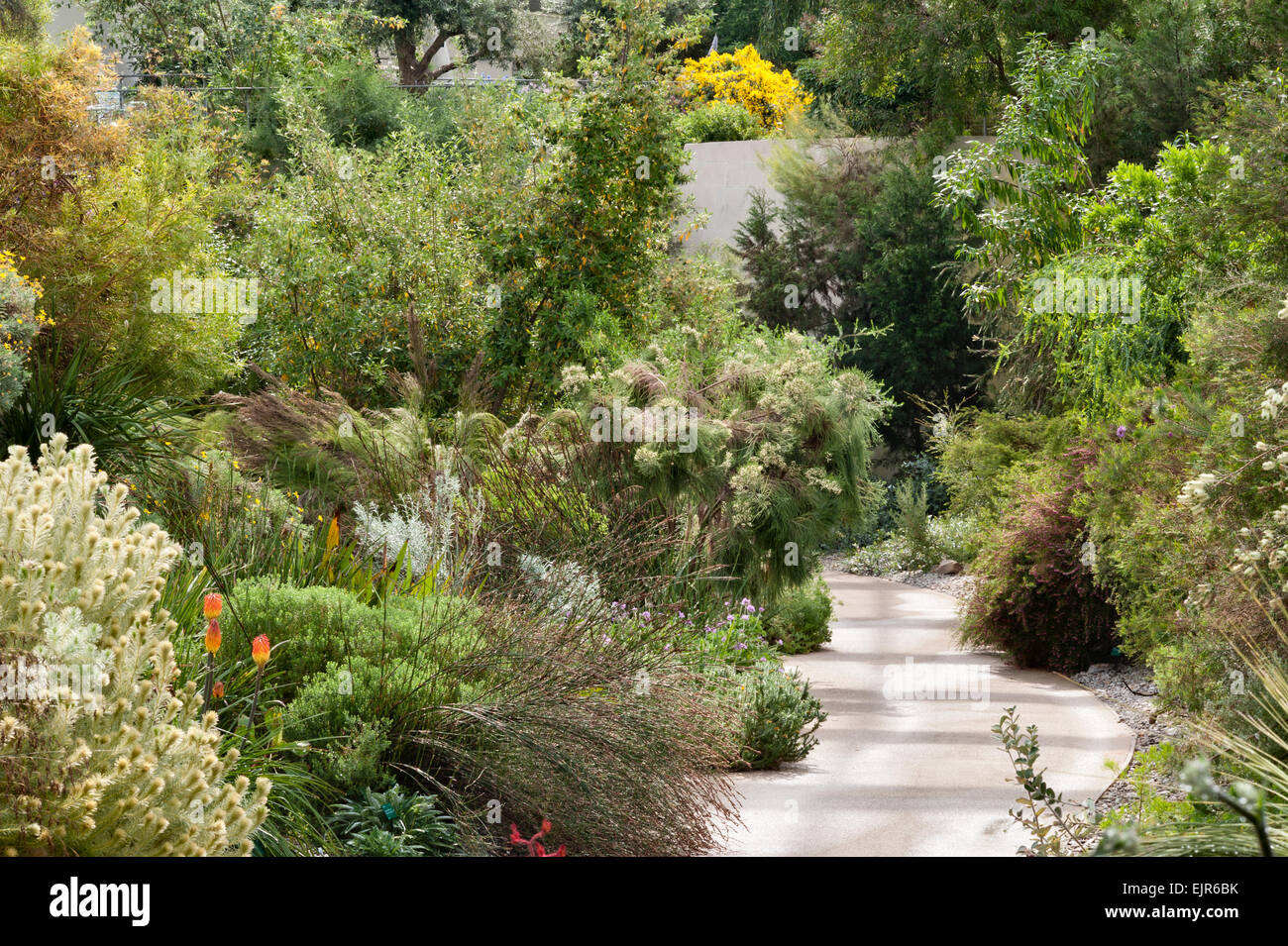 Der nationale botanische Garten von Wales, Llanarthney, Wales, UK ... Der nationale botanische Garten von Wales, Llanarthney, Wales, UK ...