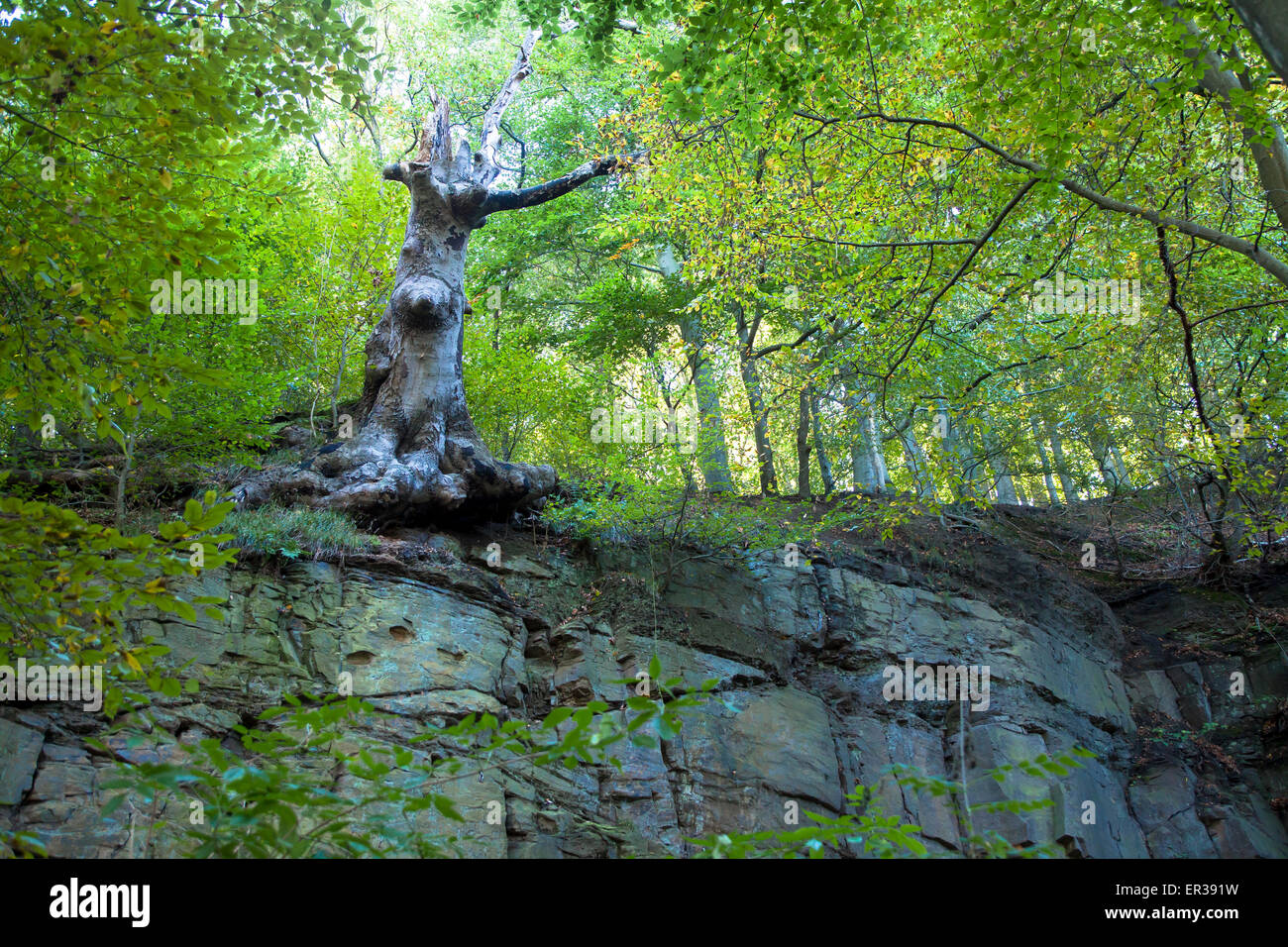 Felswand Stockfotos & Felswand Bilder - Alamy