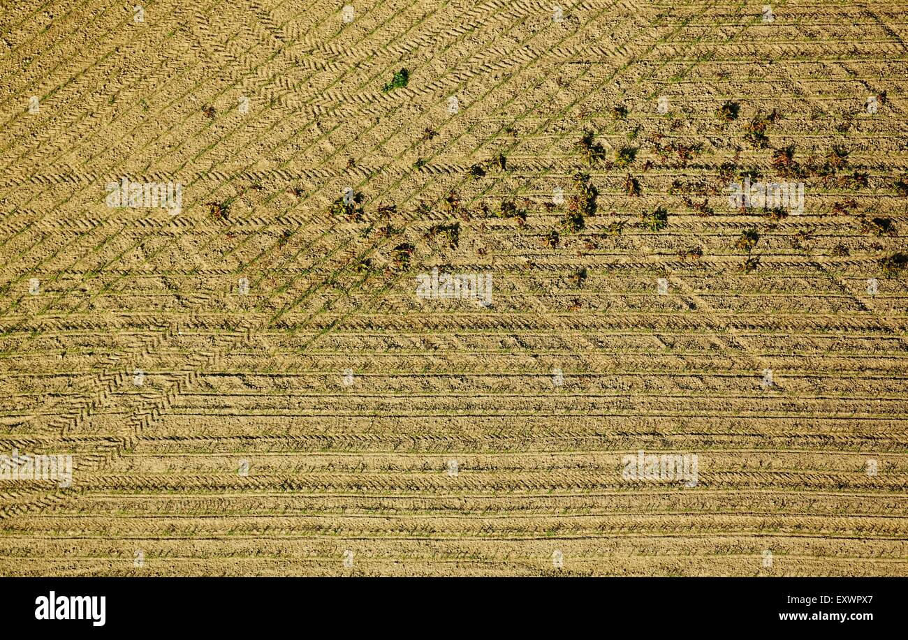 Tire Tracks In Field Grass Stockfotos & Tire Tracks In Field Grass