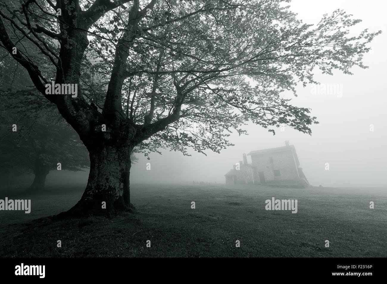 Geheimnisvolles Haus im Wald. Schwarz / weiß Stockfoto, Bild: 87347982