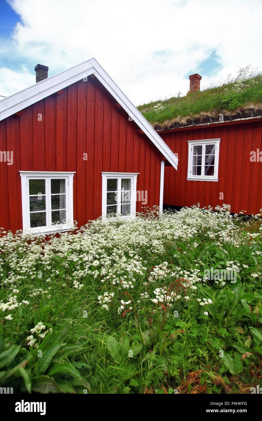 Farbbild Der Traditionellen H User In Reine Lofoten Inseln Norwegen