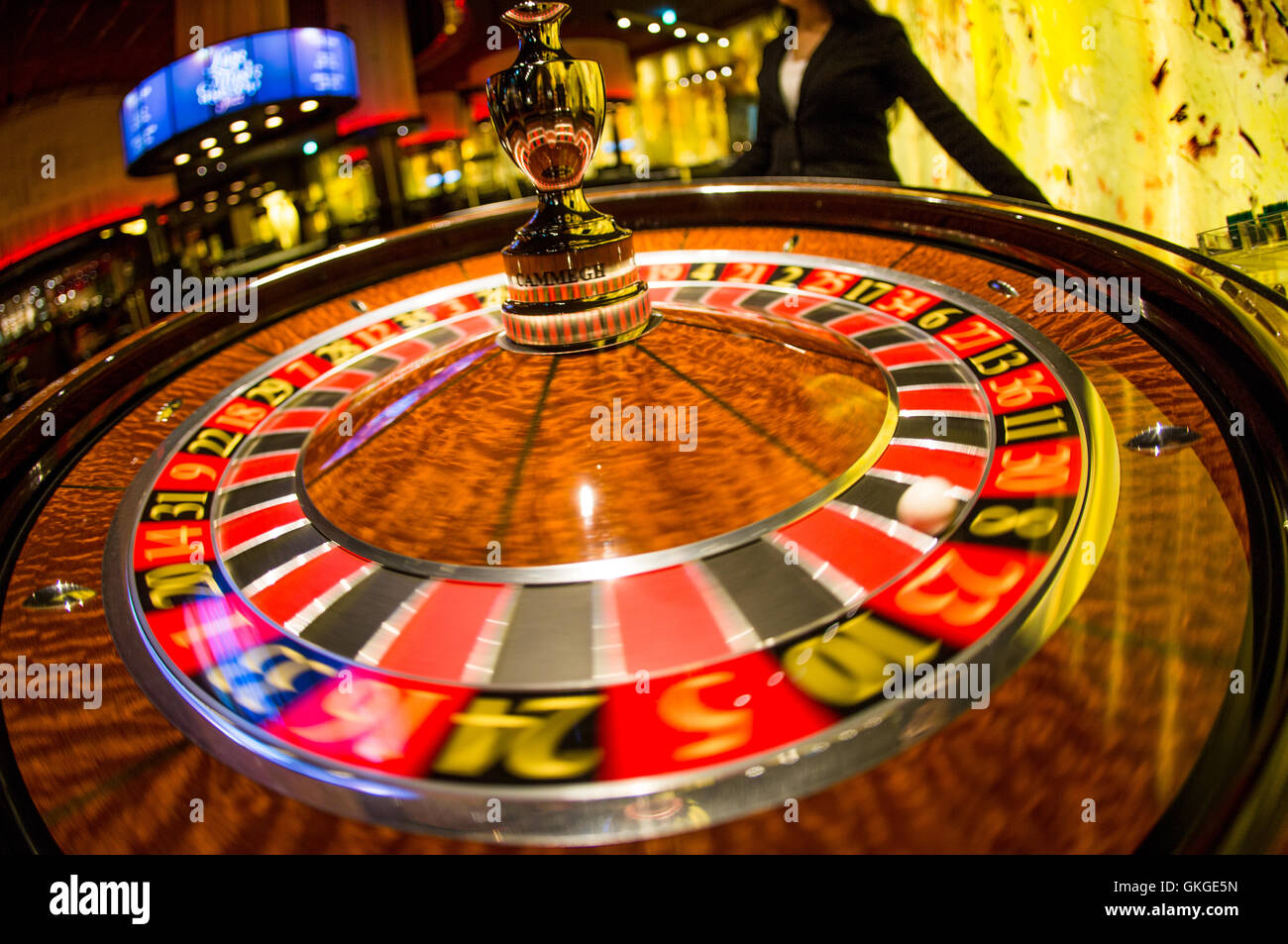 Craps juegos diarios Treasure island texas holdem