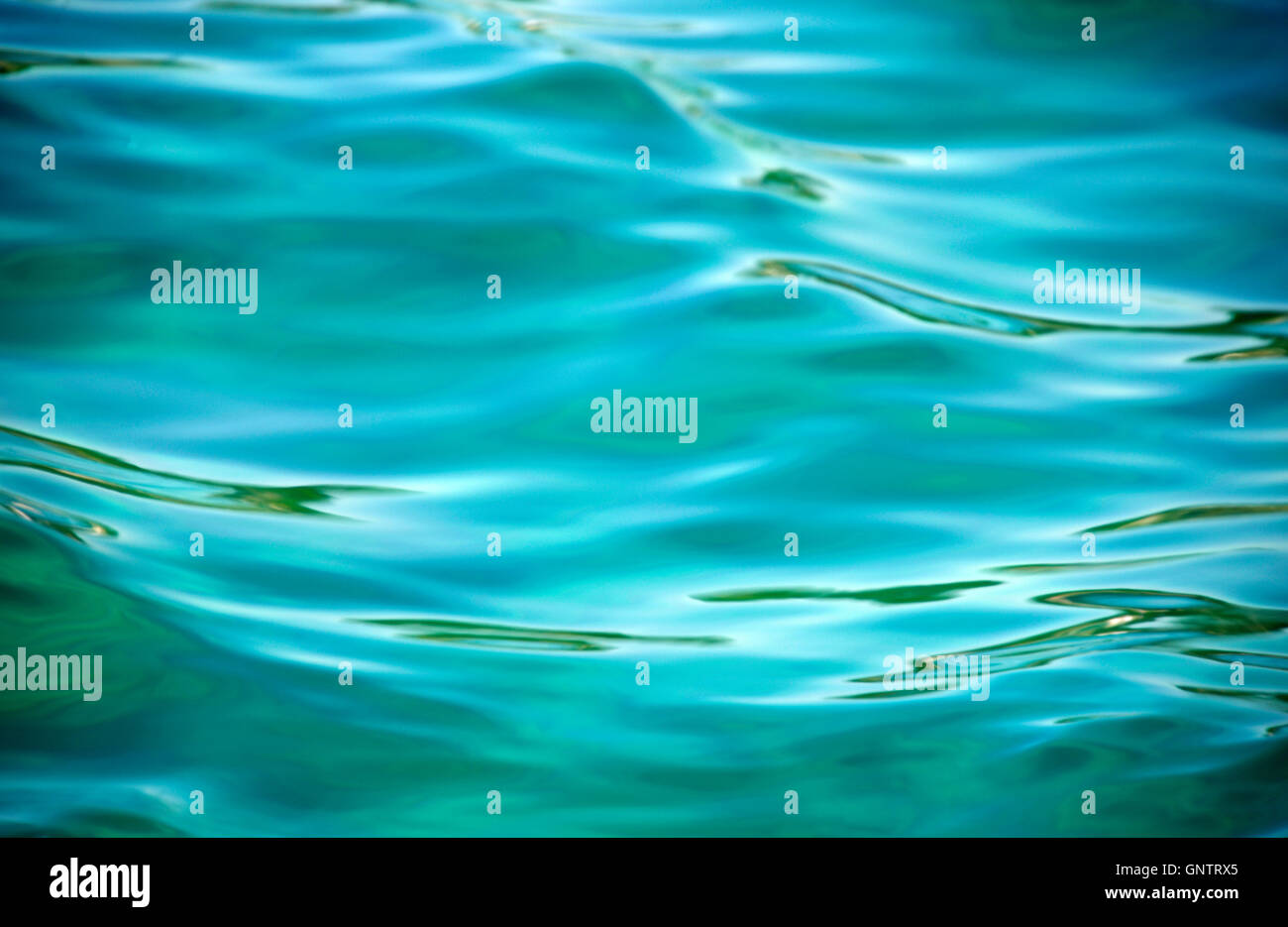 Schwimmbecken Wasser Grün