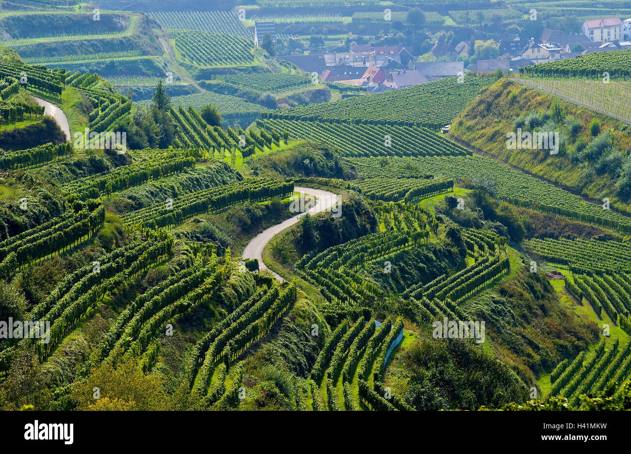 Deutschland, Baden Württemberg, Kaiserstuhl, Wein Terrassen, Übersicht