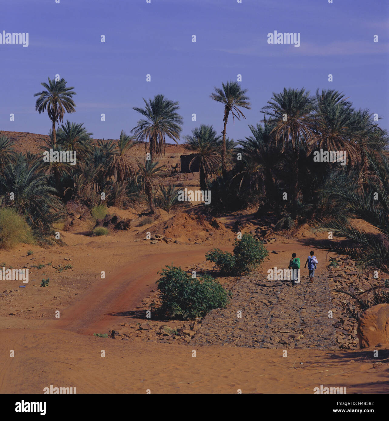 Mauretanien Region Adrar Tin Labbe Oase Wilden Landschaft Africa