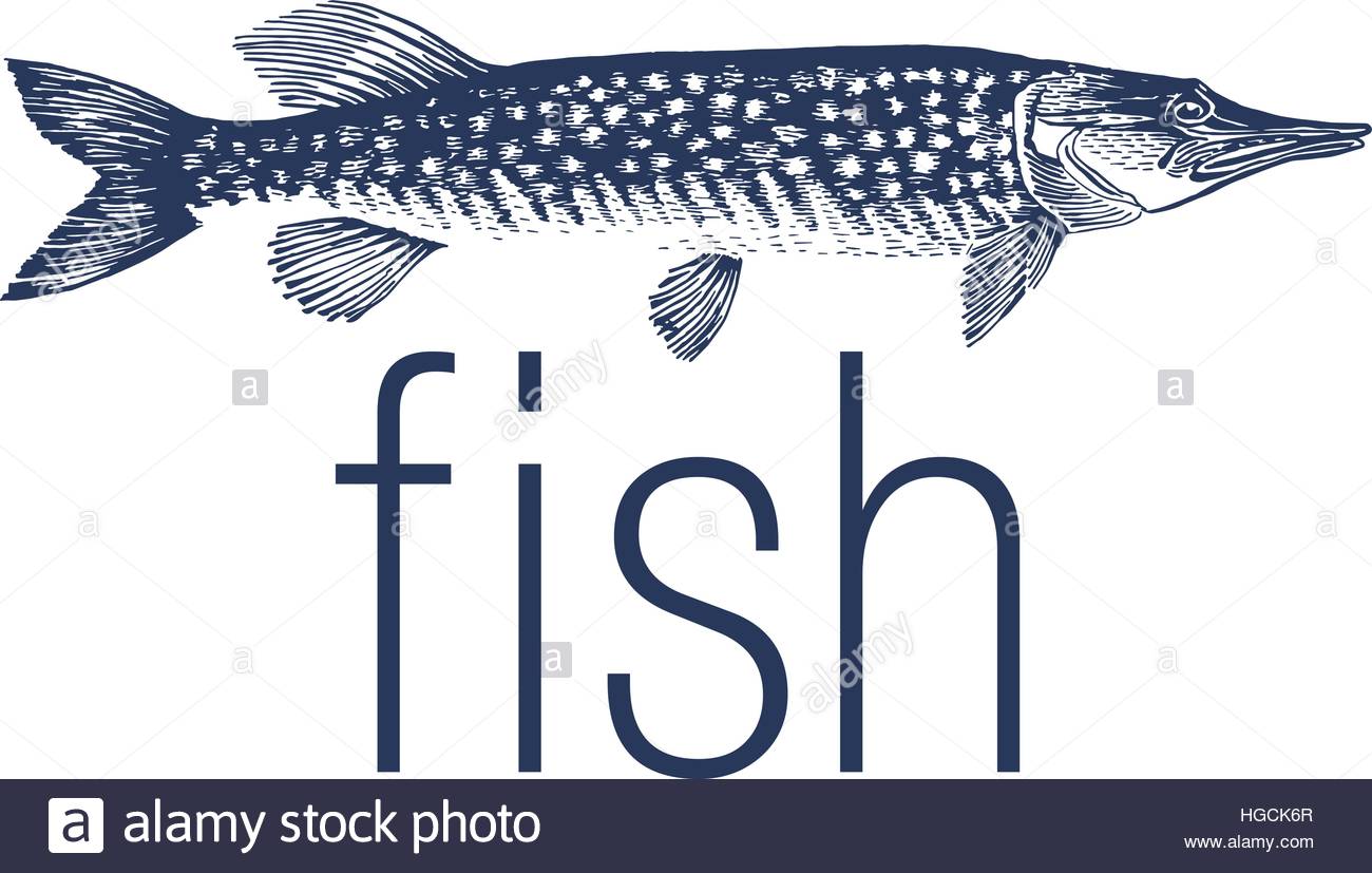 Aquarium Pike Stockfotos & Aquarium Pike Bilder - Alamy