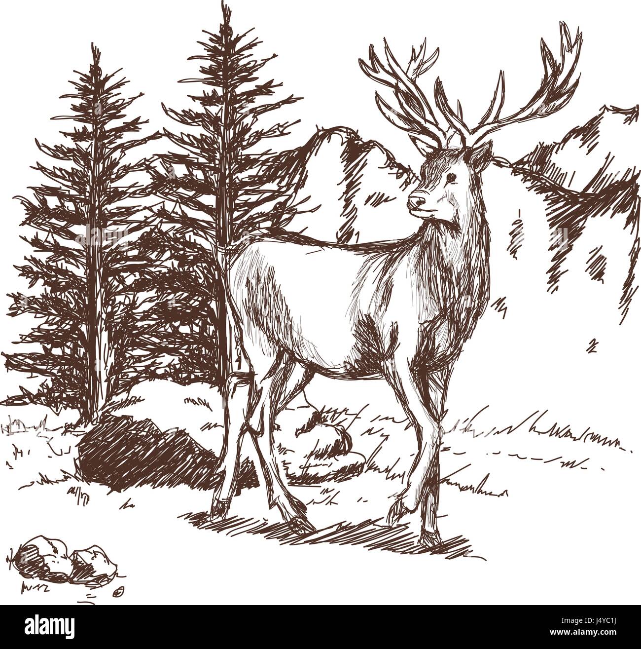 Hand gezeichnete Hirsch großen Geweih, Wildlife-Plakat. Vektor