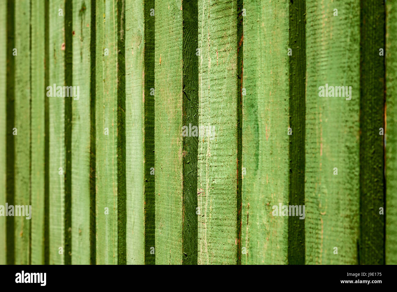 Leuchtend grün lackiert Holzzaun Hintergrund. Geometrische vertikal ... Leuchtend grün lackiert Holzzaun Hintergrund. Geometrische vertikal ...