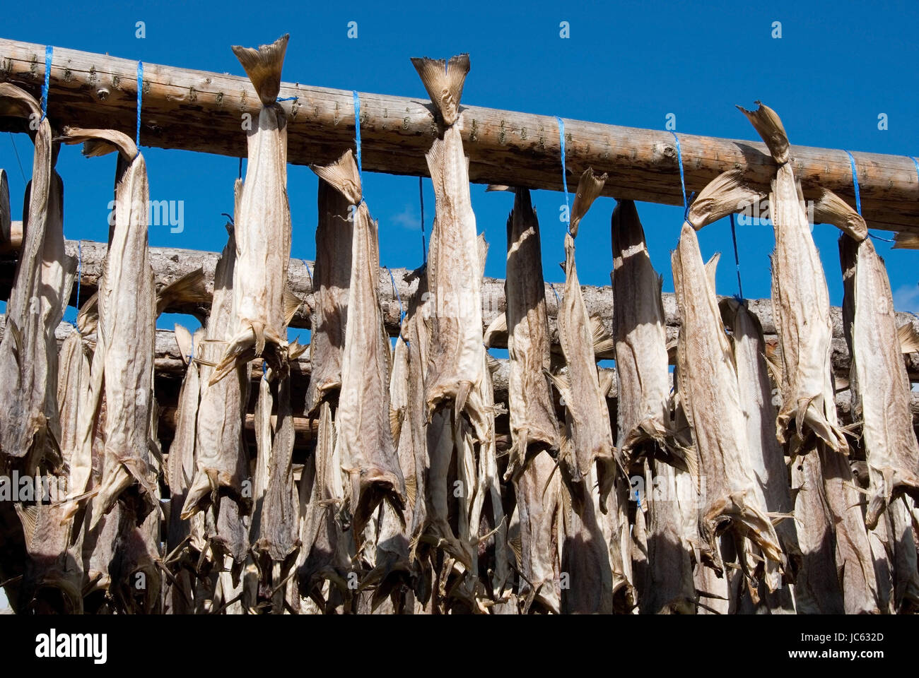 Europa Island Island Saudarkrokur Stockfisch Getrocknete Fische