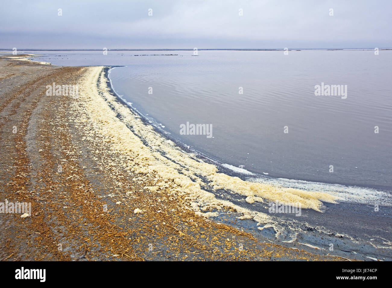 Afrika, Namibia, NamibWüste, Atlantikküste, Lagune, Salzgewinnung, Meer, Atlantik, Wüste