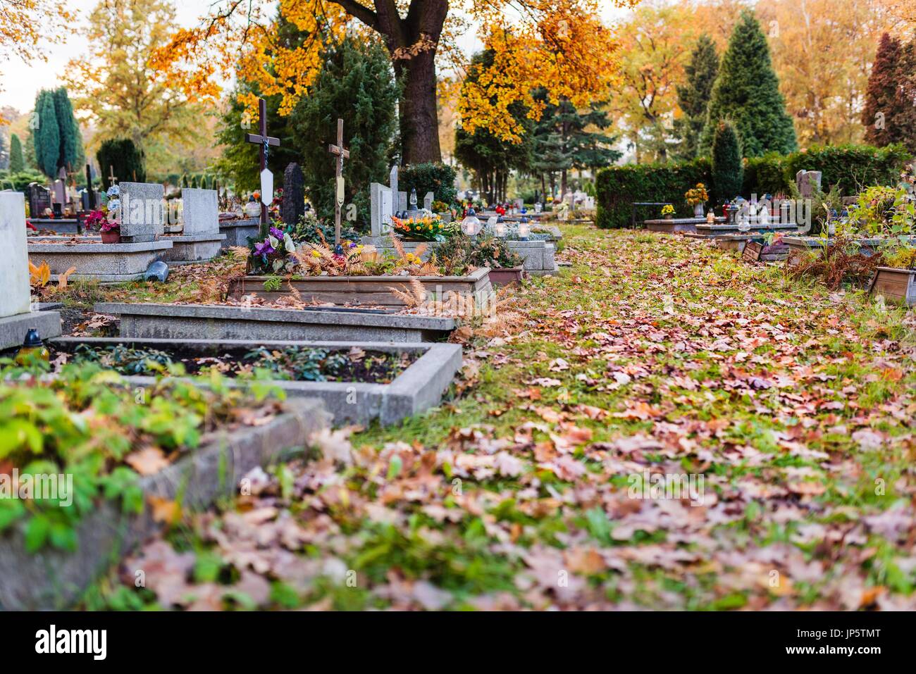 Alter Friedhof im Herbst. 1 November, Allerheiligen Stockfoto, Bild