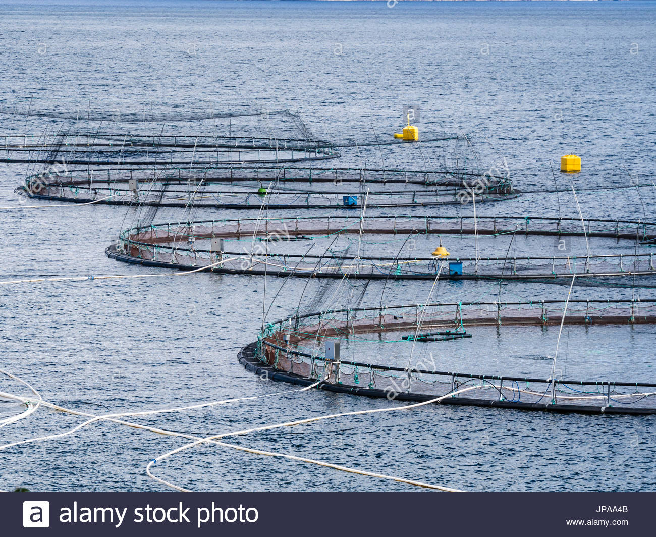 Lachs Aquakultur Norwegen Lachs Aquakultur Norwegen