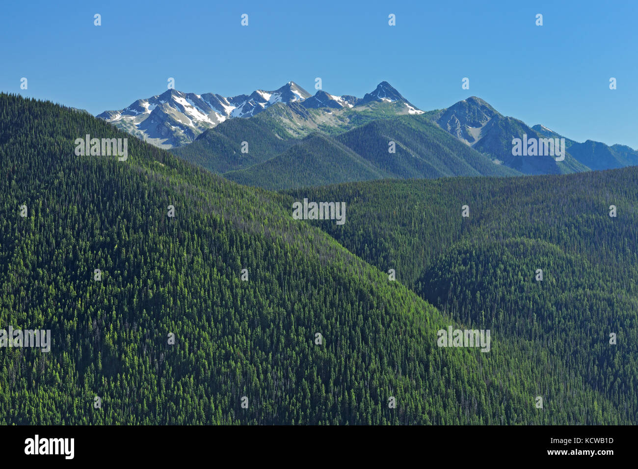 Vancouver Island Sayer Bc Vancouver Island Sayer Bc