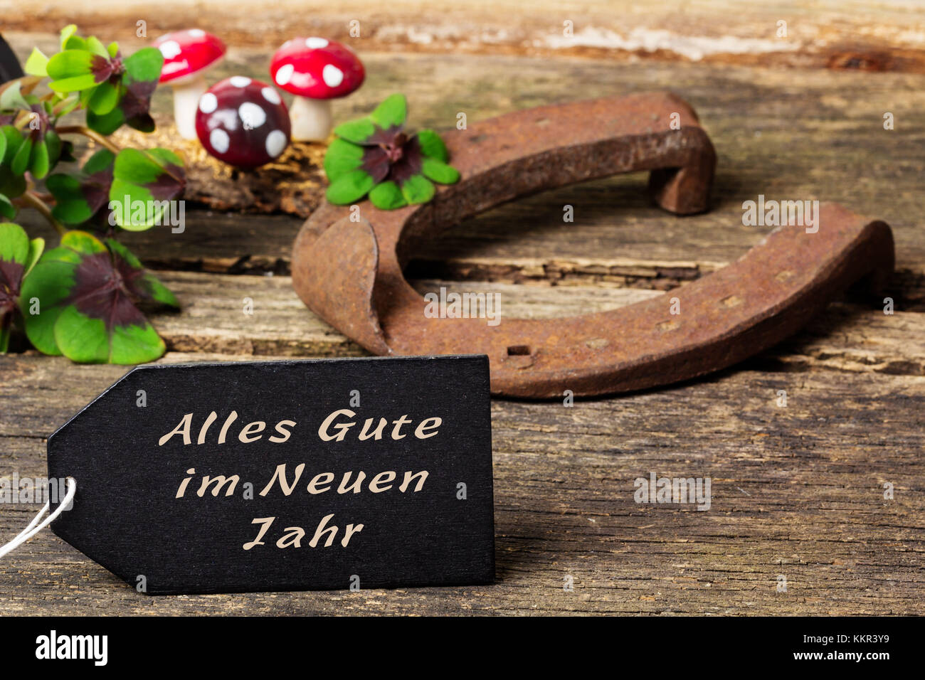 4 Leaved Cloverleaf Stockfotos &amp; 4 Leaved Cloverleaf Bilder - Alamy