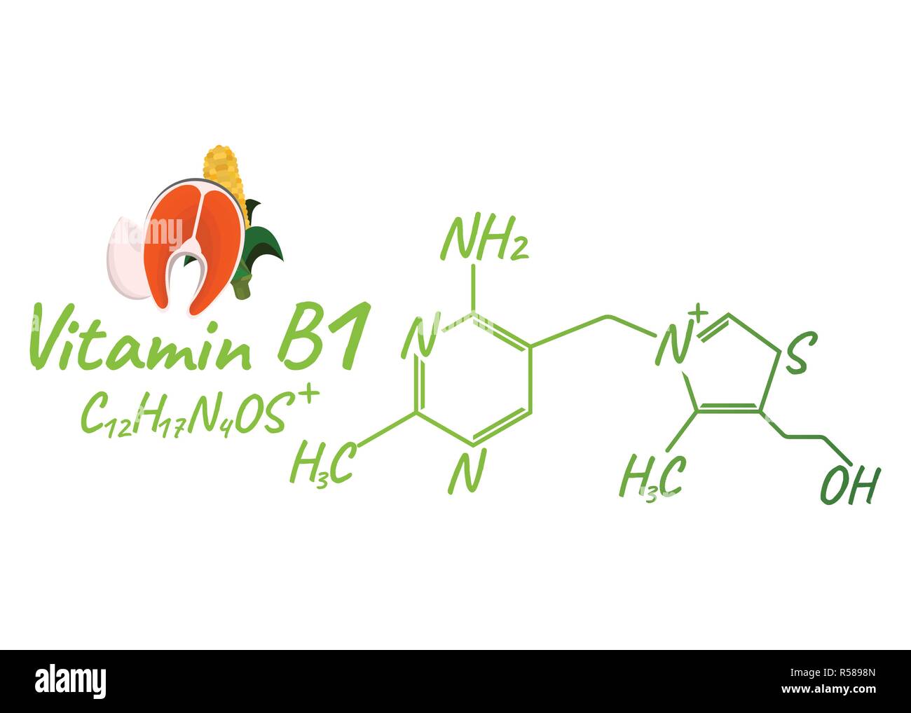 Vitamin B1 Mit Nahrungsmitteln Label Und Icon Chemische Formel Und