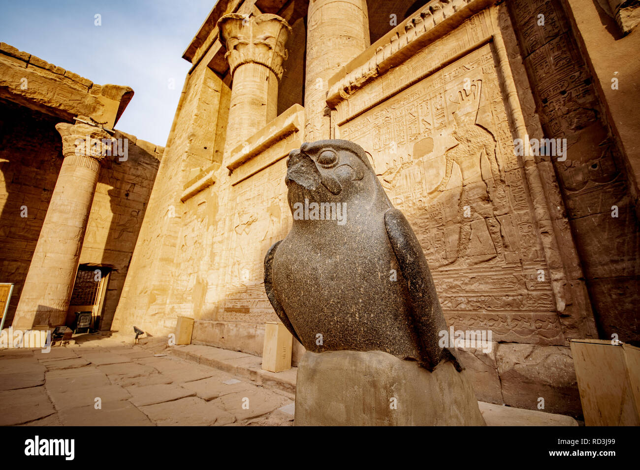 Statue Des Horus Falke Gott Im Tempel Des Horus Oder Edfu Tempel In