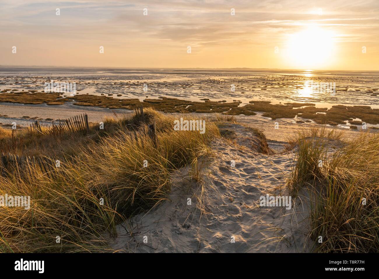 Frankreich Somme Baie De Somme Le Crotoy Crotoy Strand Und Der Baie