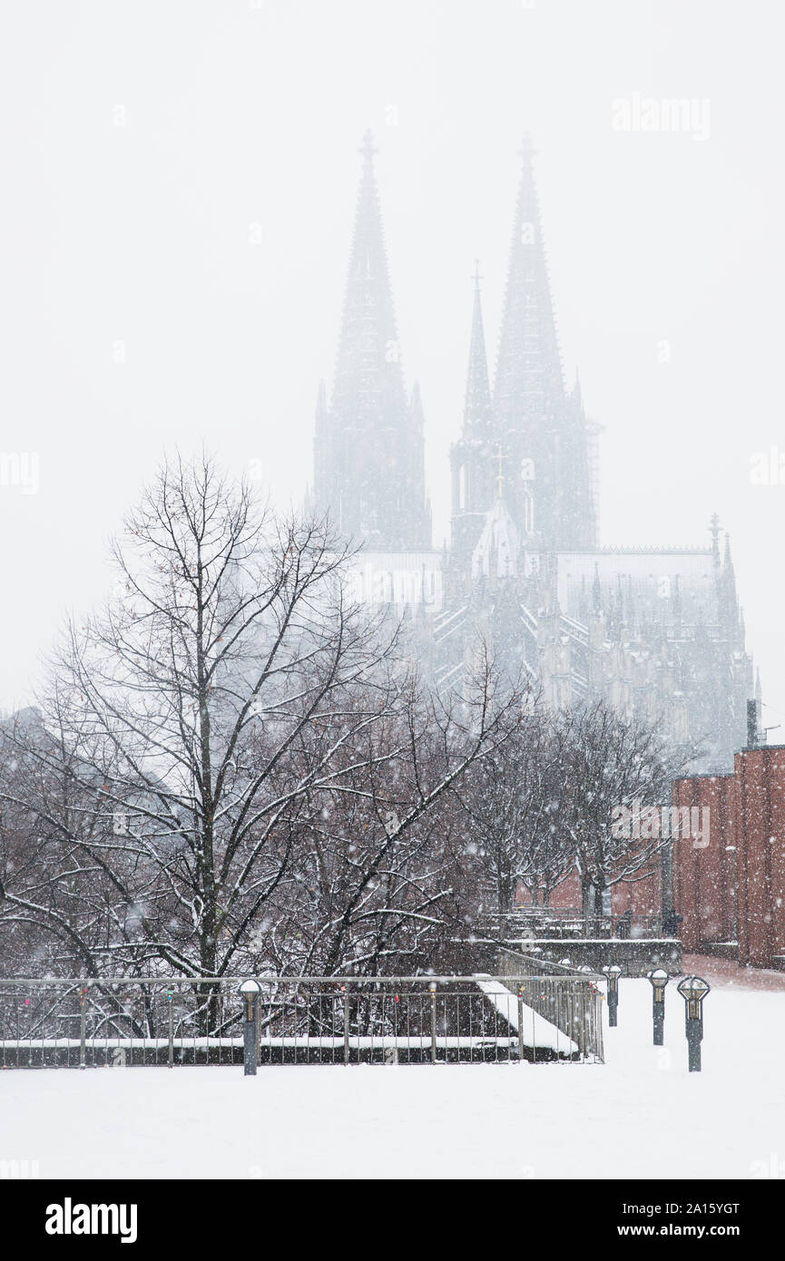 Los Rboles Desnudos Contra La Catedral De Colonia Durante Las Nevadas