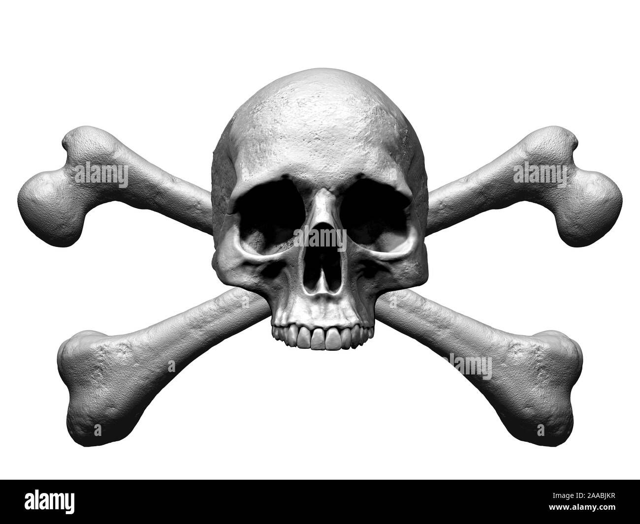 Huesos Del Craneo Anatomia Im Genes Recortadas De Stock Alamy