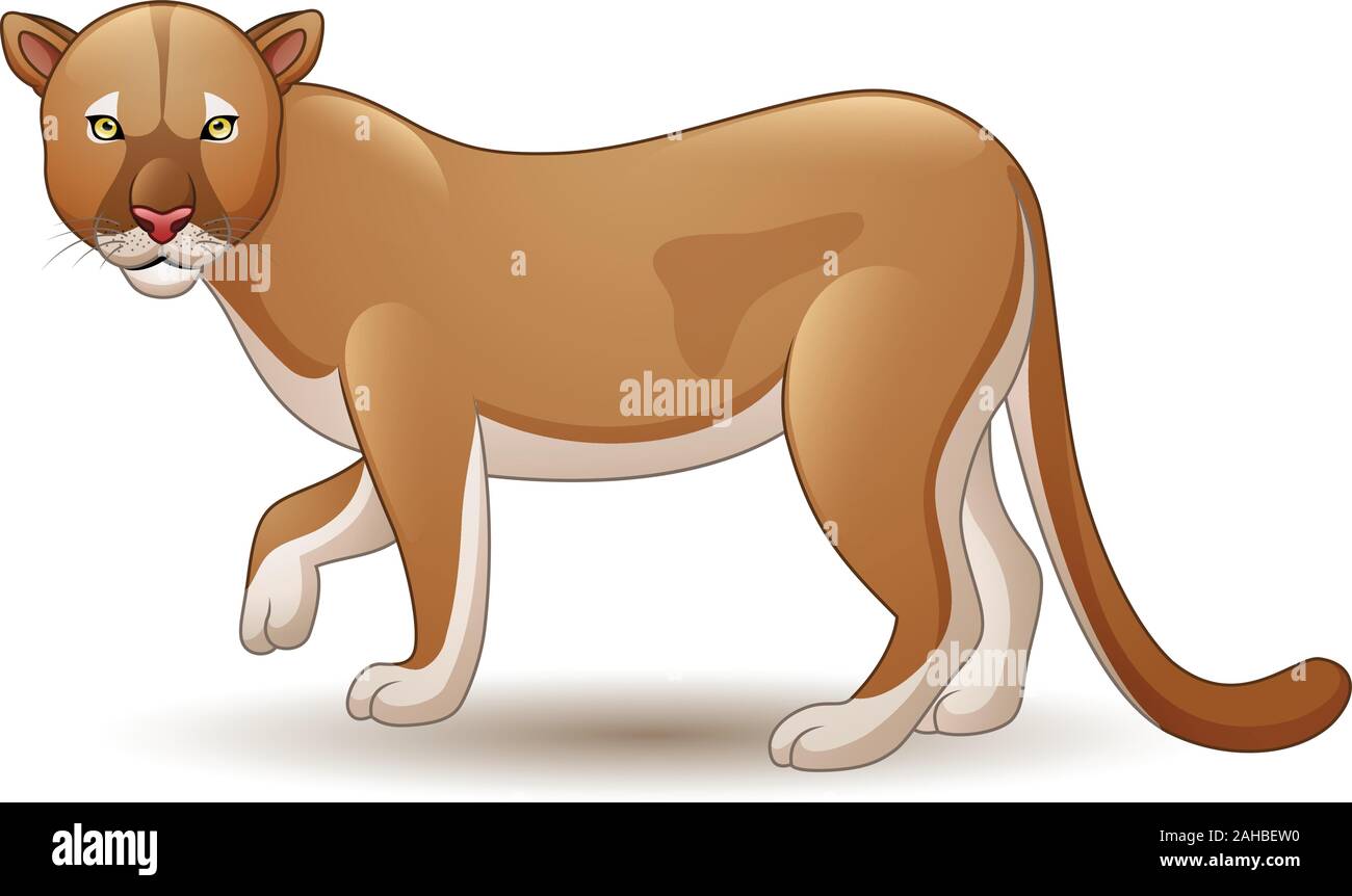 Ilustración de puma aislado sobre fondo blanco Imagen Vector de stock Alamy