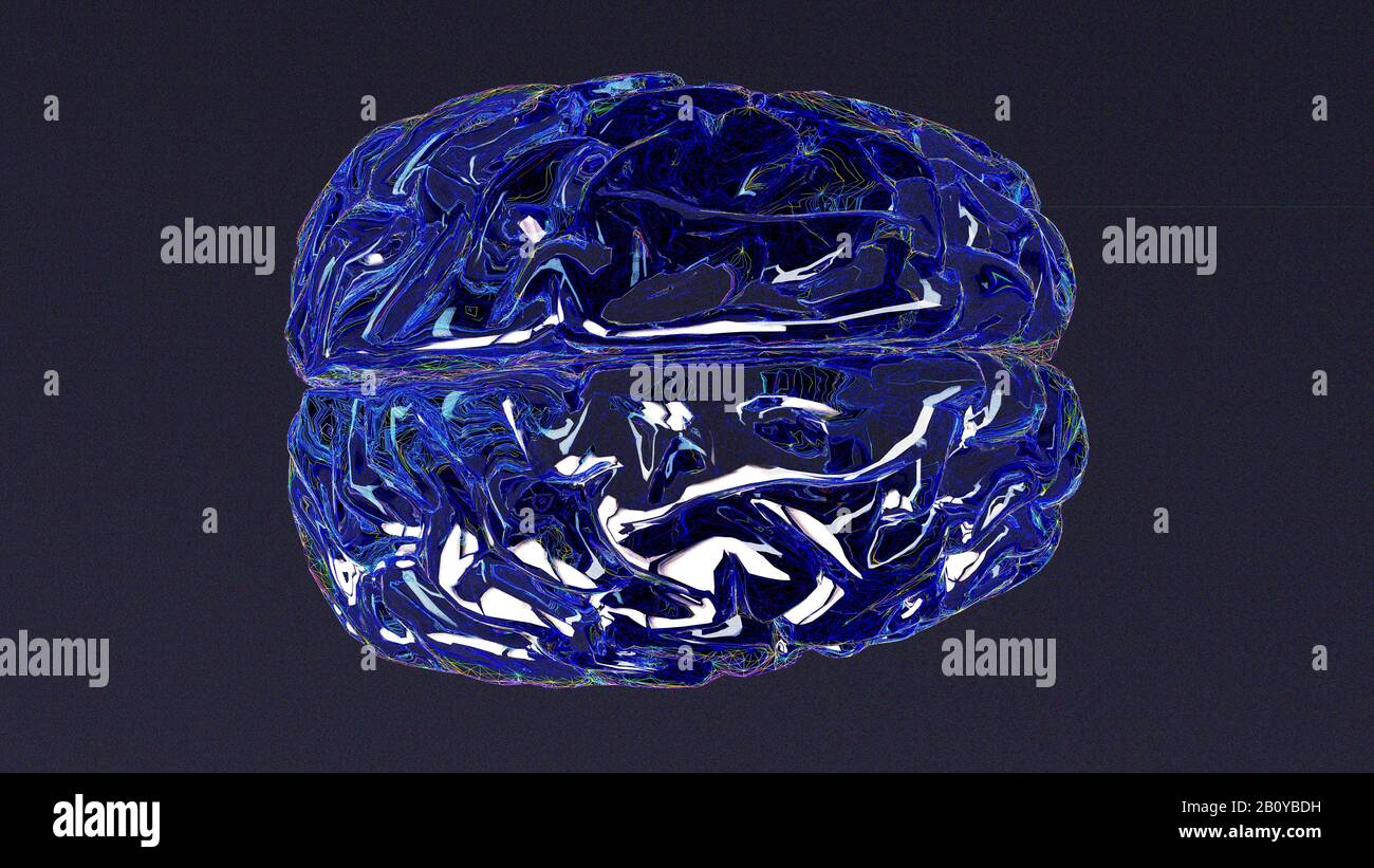 Concepto de cerebro cerebelo fotografías e imágenes de alta resolución