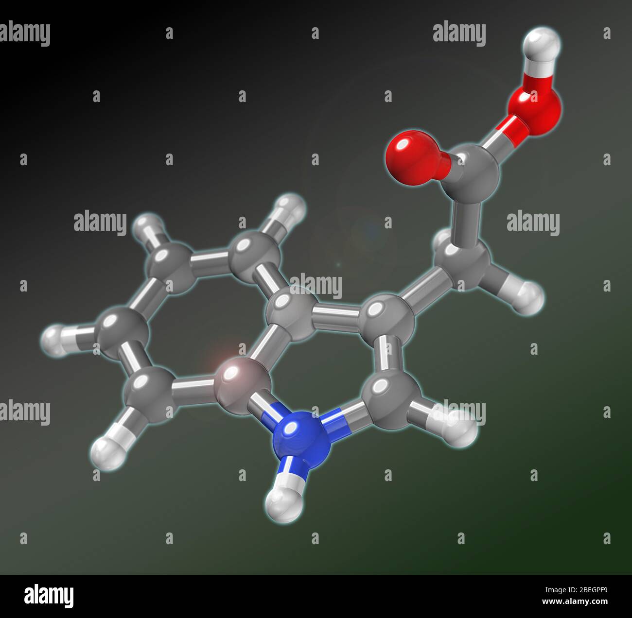 Indol 3 acético fotografías e imágenes de alta resolución Alamy