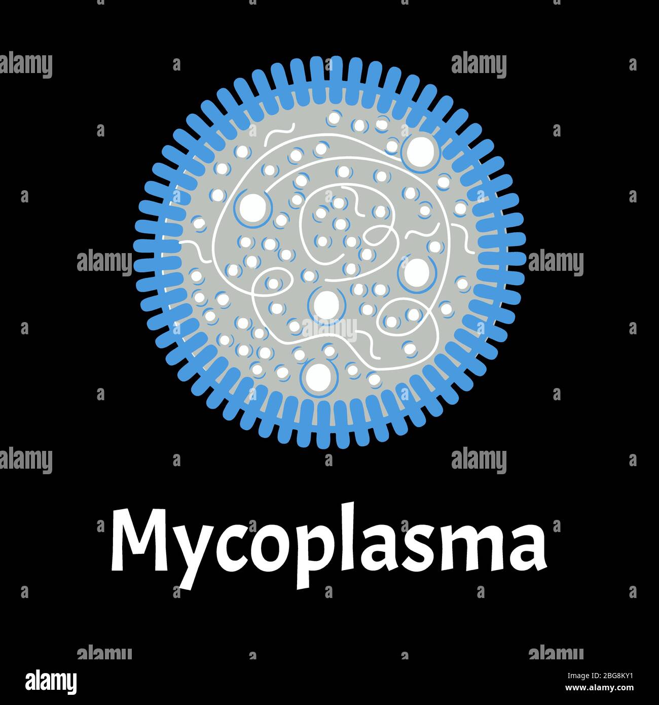 Micoplasma Infecciones Bacterianas Mycoplasma Enfermedades De