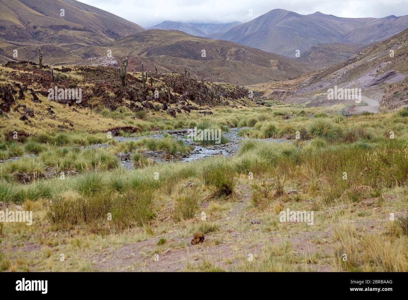 Paisaje Y Carretera A Lo Largo Del Valle De Calchaqu Argentina Es Un