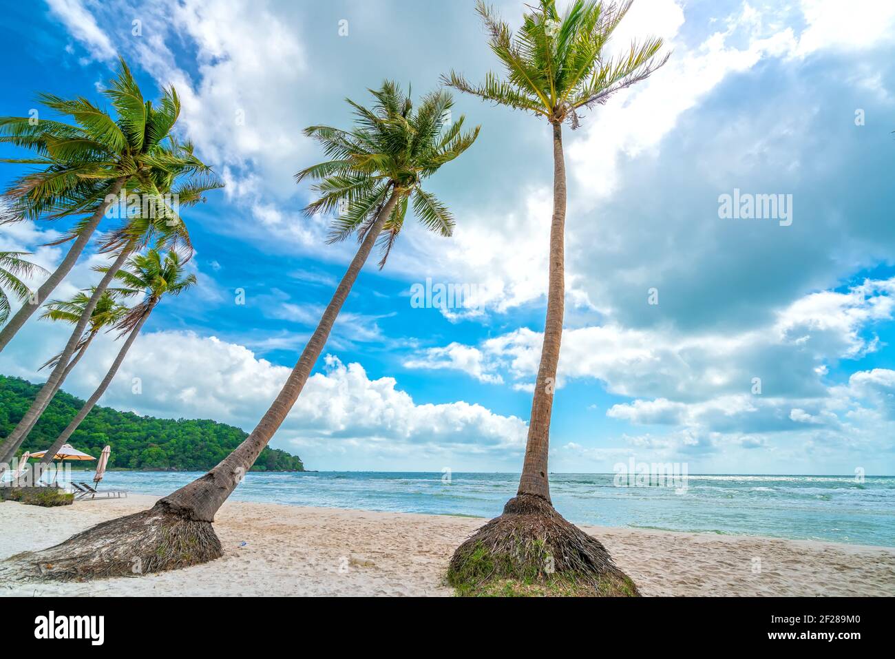 Paisaje Marino Con Palmeras Tropicales En La Hermosa Playa De Arena De