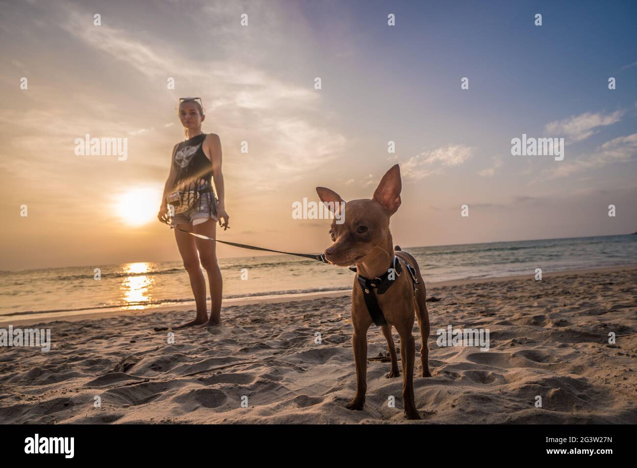 Mujer con perro en la playa al atardecer fotografías e imágenes de alta