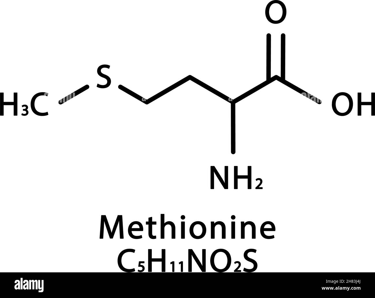 Estructura molecular de la metionina Fórmula química esquelética de