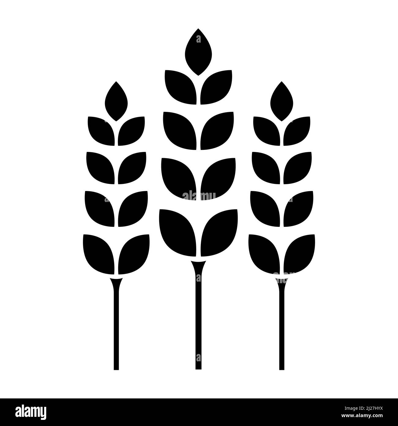 Icono de vector de trigo Símbolo de trigo agrícola Ilustración