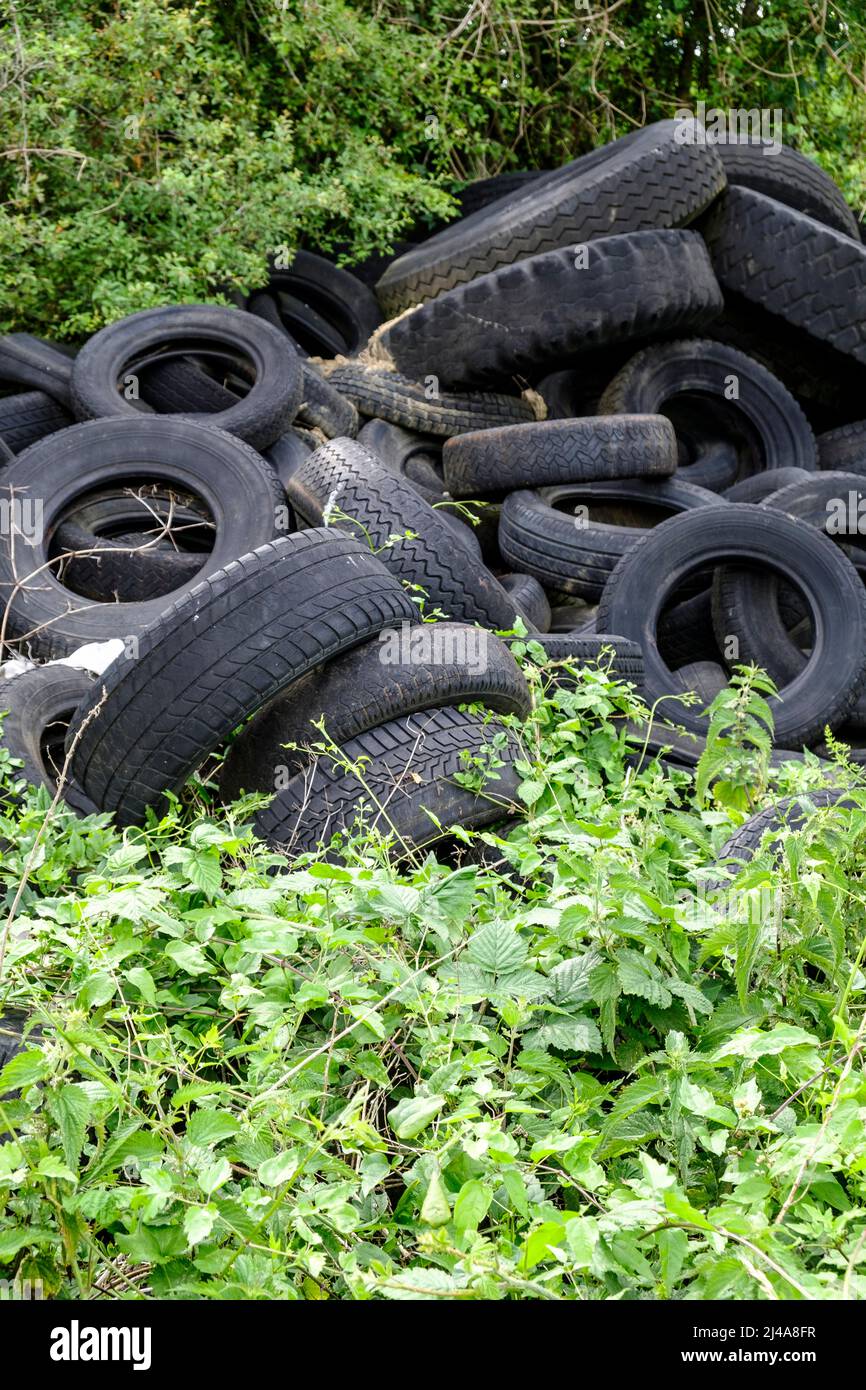 Vieux Pneus Abandonnes Au Detour D Un Bois Pollution Visuelle Et