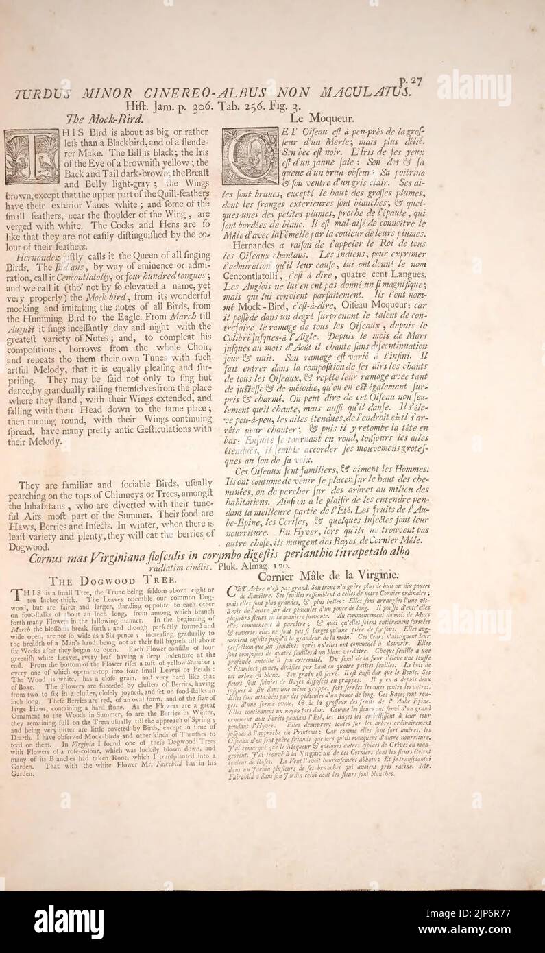 La Historia Natural De Carolina Florida Y Las Islas Bahama P