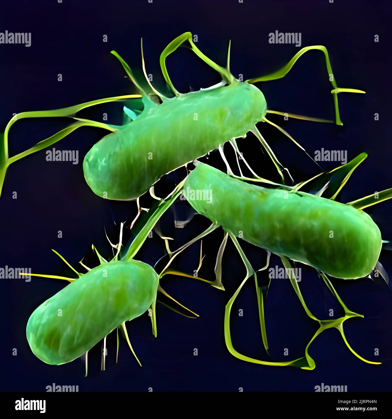 Brote De Bacterias E Infecci N Bacteriana Como Fondo Microsc Pico