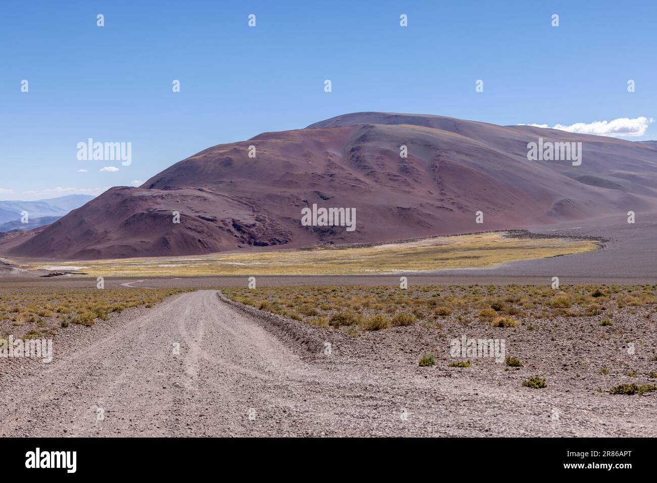 Cruzando Los Andes Desde Antofagasta De La Sierra Hasta Antofalla