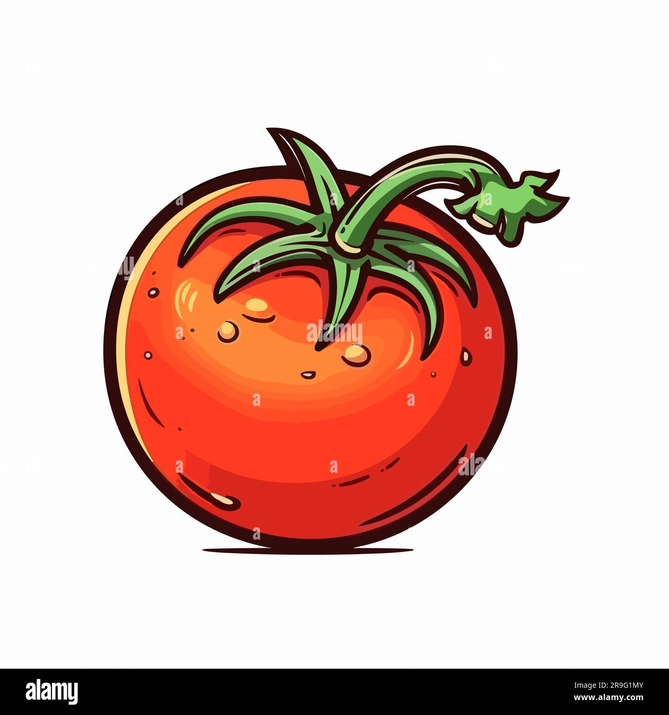 Tomate Tomate Dibujado A Mano Ilustraci N Vector Doodle Estilo